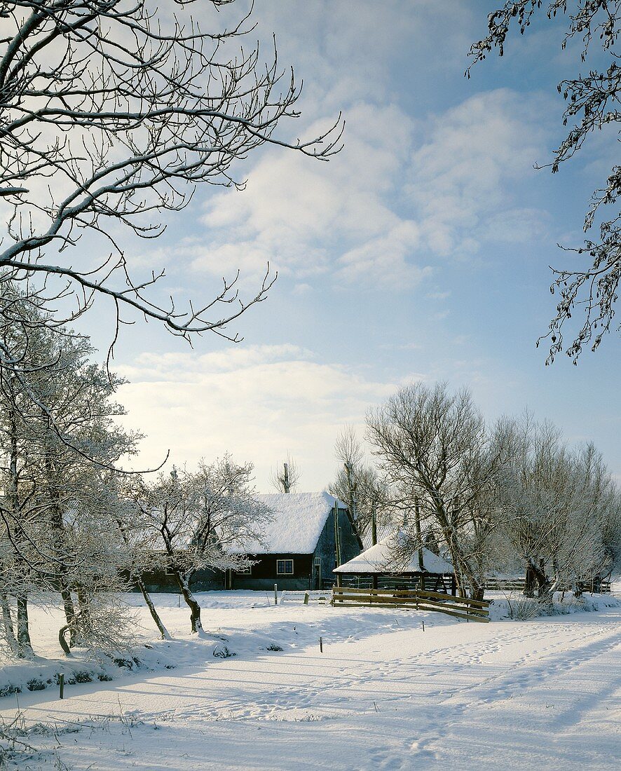 Winter landscape with farmhouse in background
