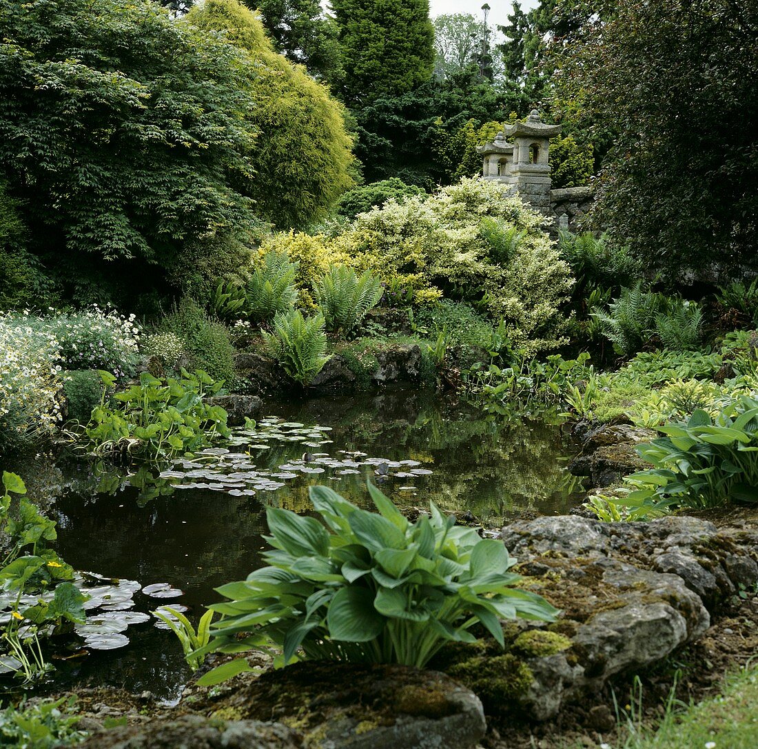 Pond surrounded by luxuriant planting