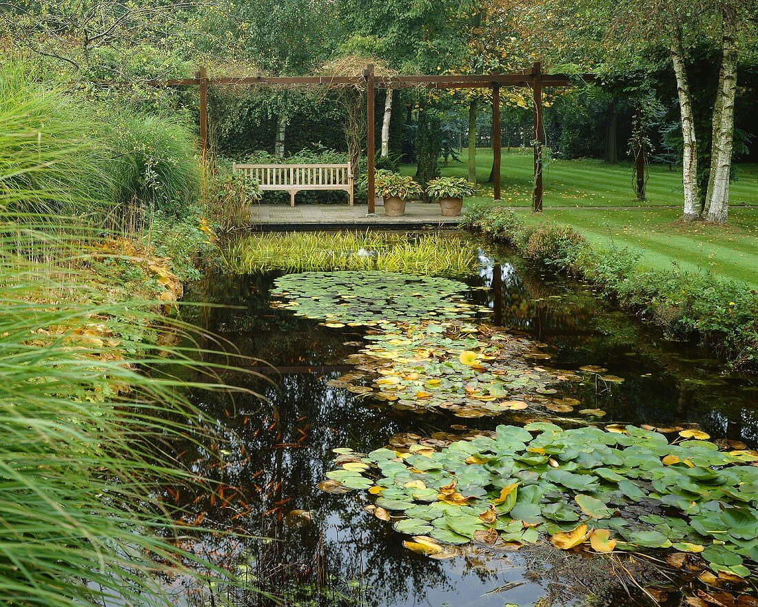 Garten mit Teich und Wasserpflanzen
