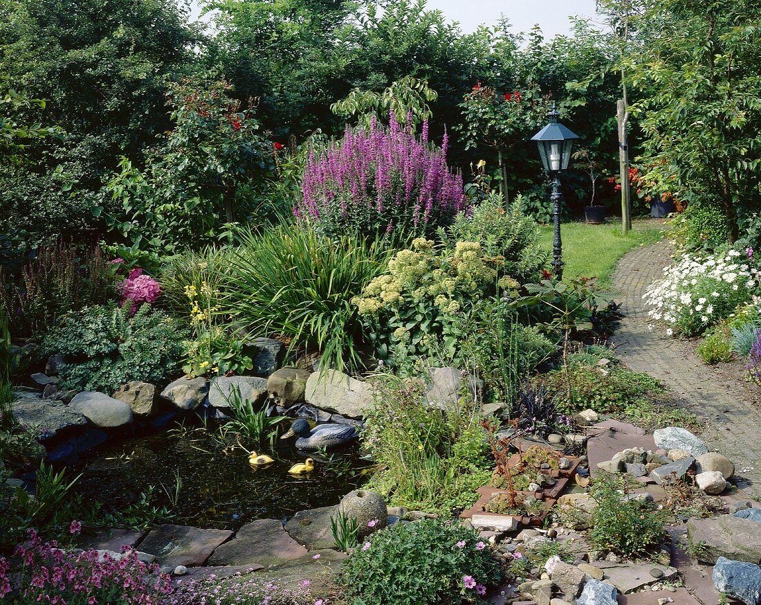 Garden with ornamental pond and path