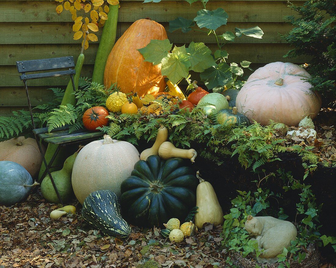 Pumpkins and stone figure (garden decoration)