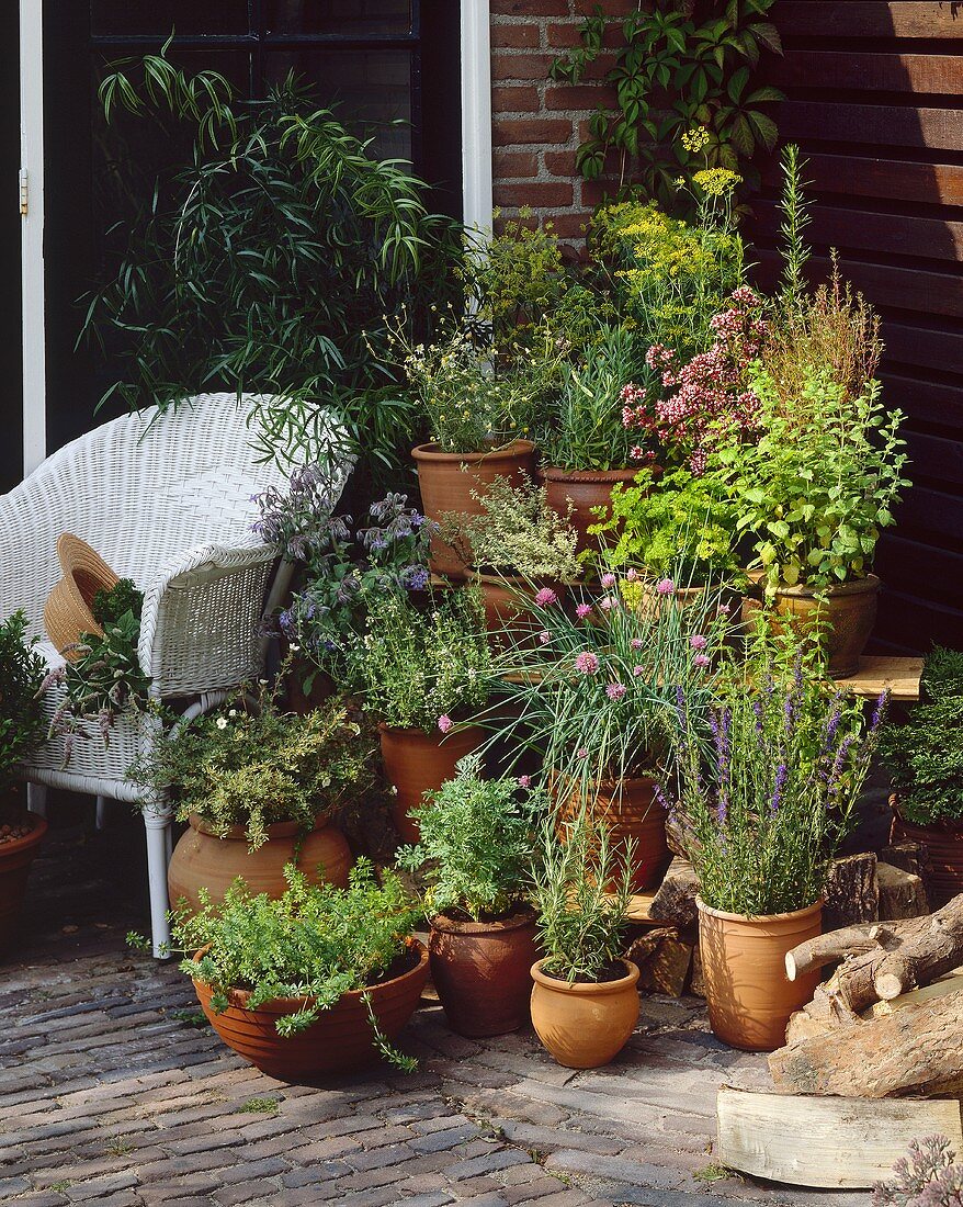 Terrace with garden herbs