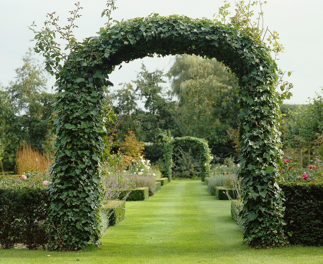 Garden with ivy-covered arch