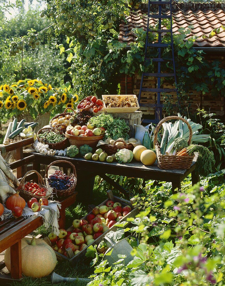 Gartenernte mit Obst, Gemüse und Blumen