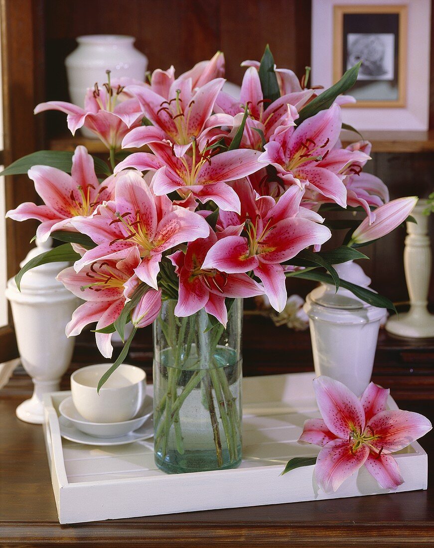 Lilies (Lilium 'Tiber') in vase