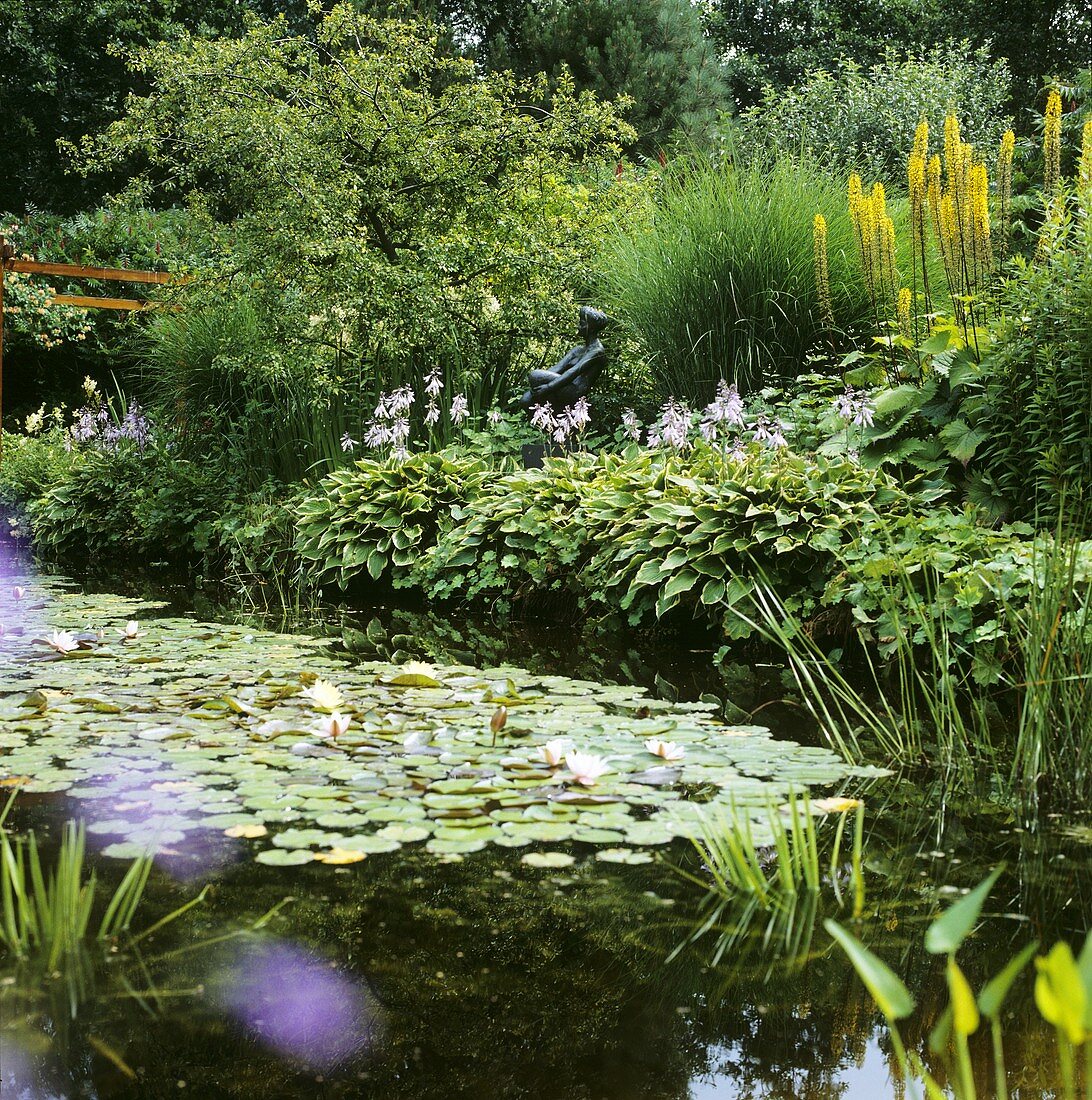 Pond covered with water lilies, with statue