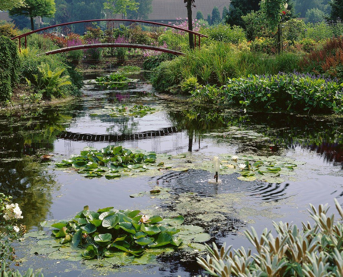 Pond with plants and a bridge