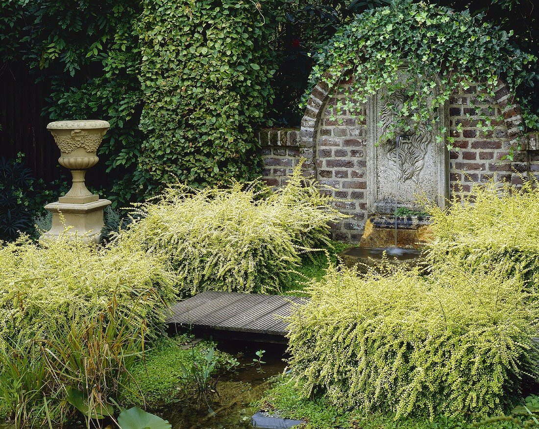 Wandbrunnen & kleiner Teich bewachsen mit Lonicera