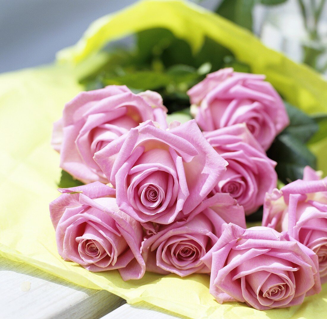 A bouquet of pink roses