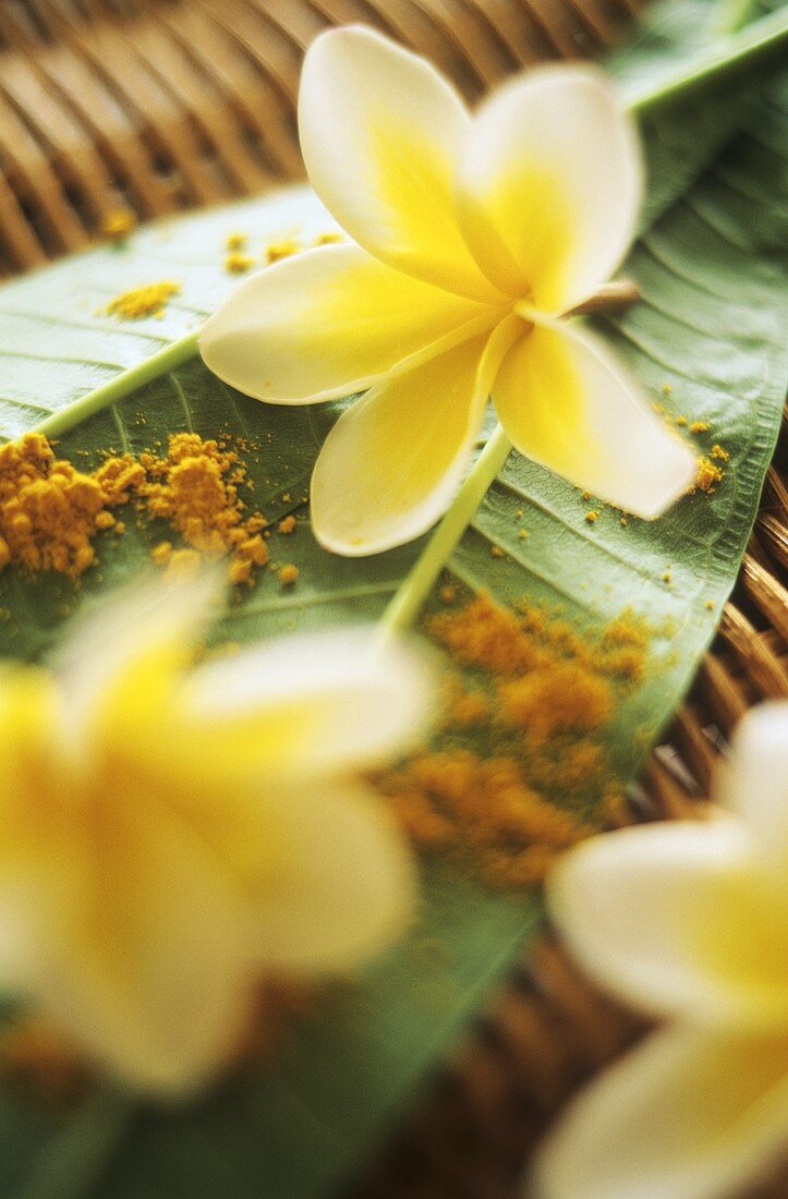 Frangipani-Blüten und Currypulver