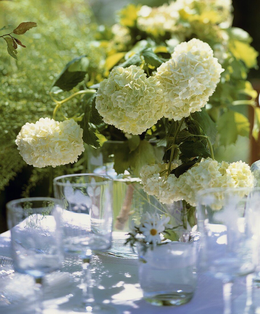 A vase of green hydrangeas on a table out of doors