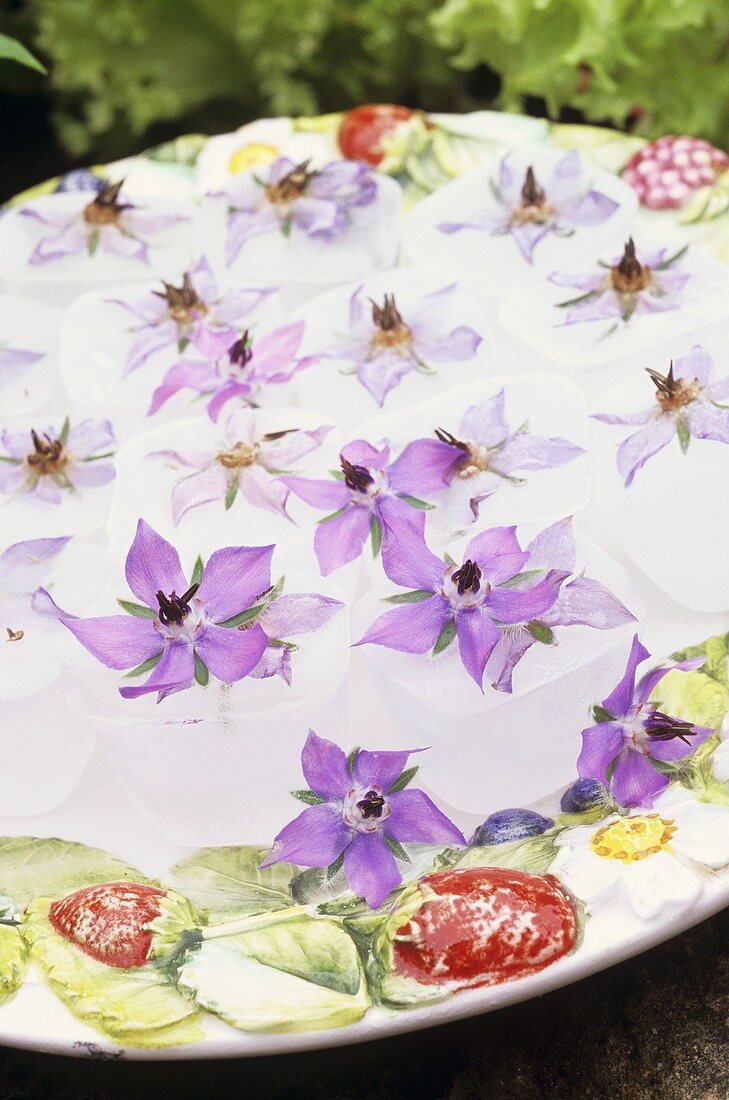Teller mit in Eiswürfeln gefrorenen Blüten