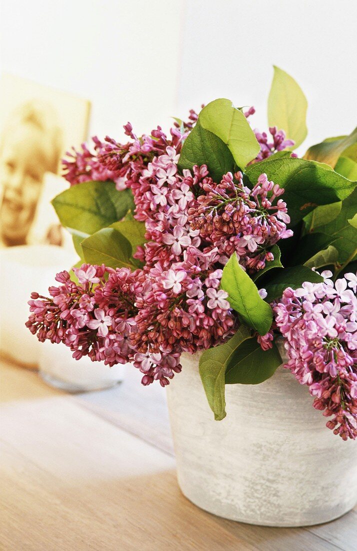 Bouquet of lilac in vase