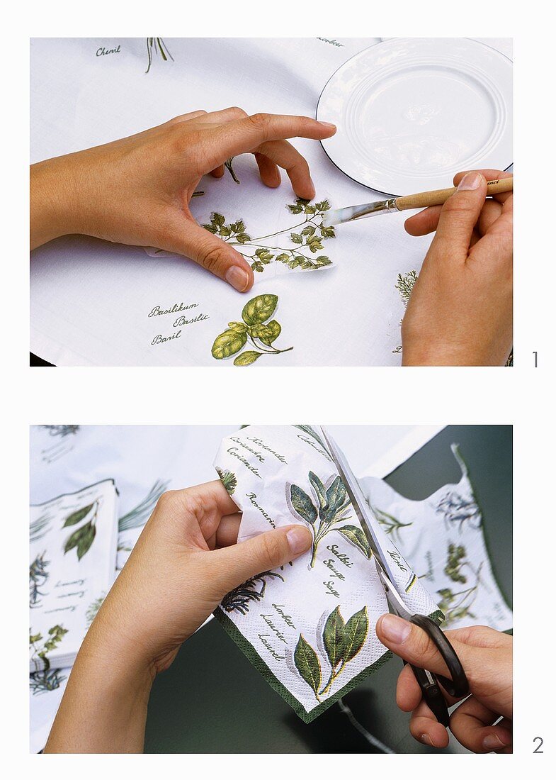 Pasting pictures of herbs