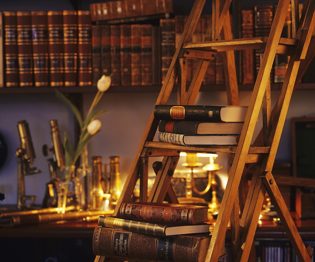 Bücherregal mit antiken Büchern und Regalleiter aus Holz