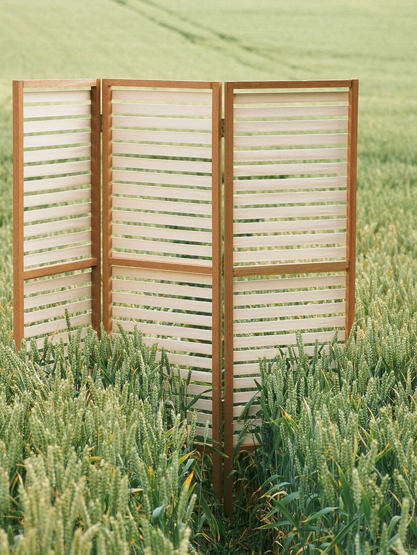 Screen in cereal field