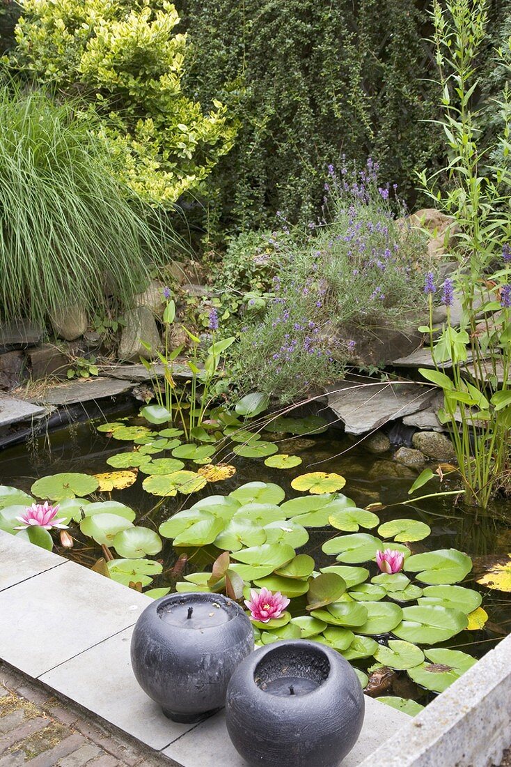 Garden pond