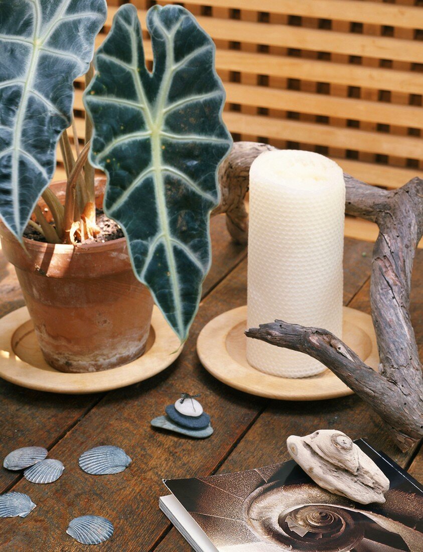 Candles and ornaments on table