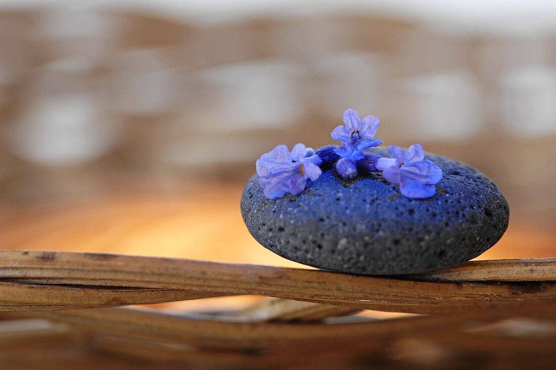 Lavender flowers on stone