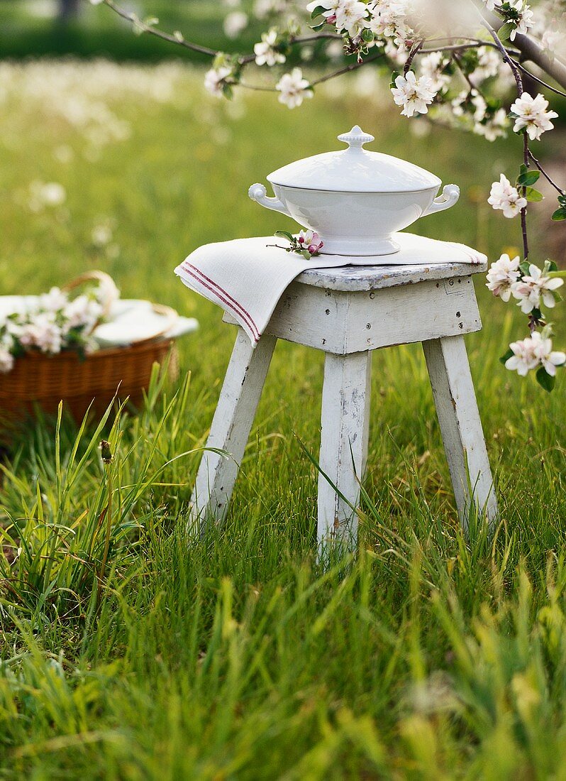 Soup tureen on a stool under flowering fruit tree