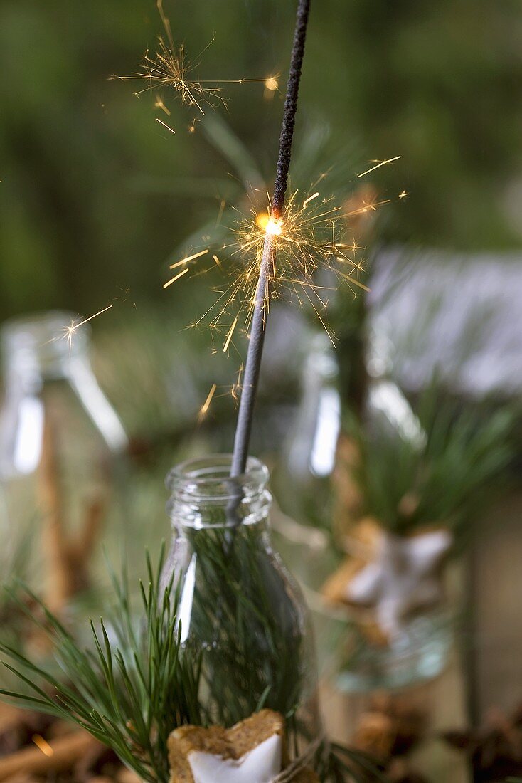 Sparkler in bottle decorated with pine sprigs, cinnamon star