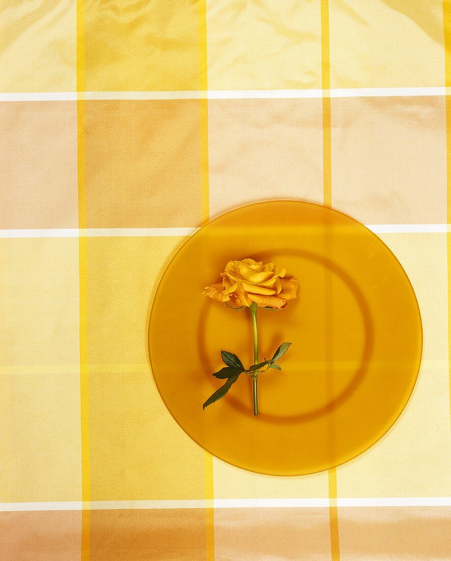 Glasteller mit orangefarbener Rose auf kariertem Tischtuch