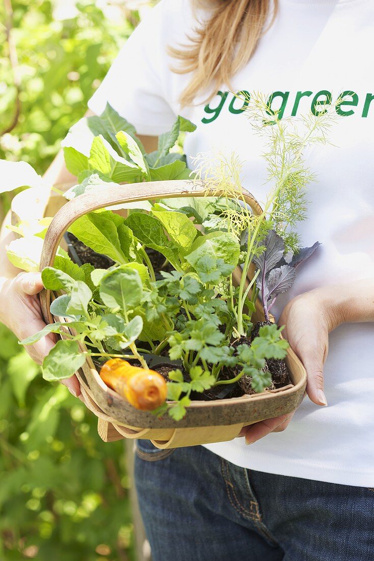 A woman holding a basket of various young plants