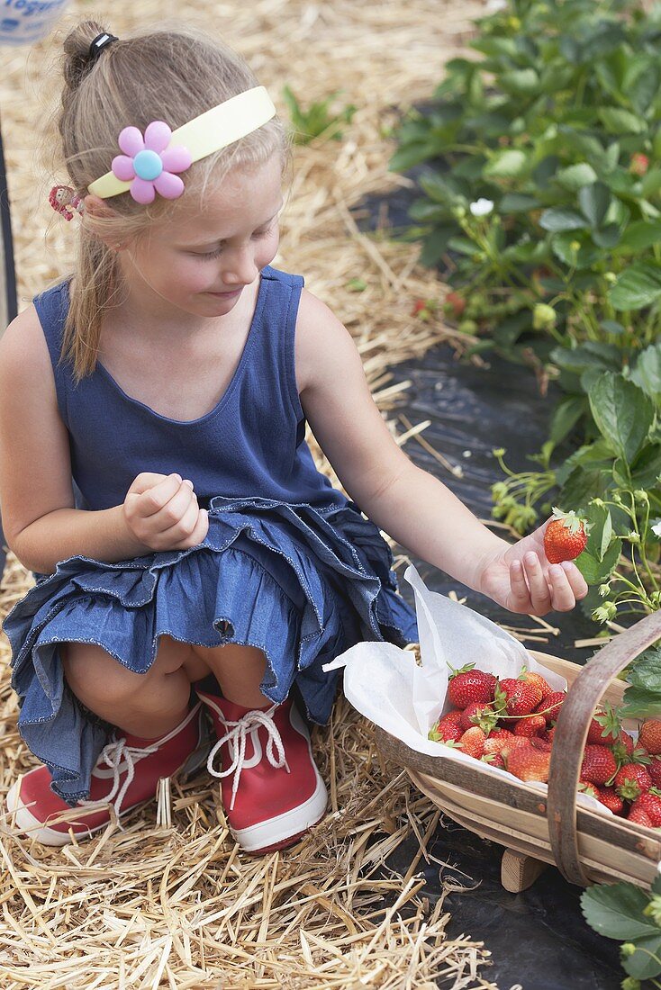 A blonde girl picking strawberries