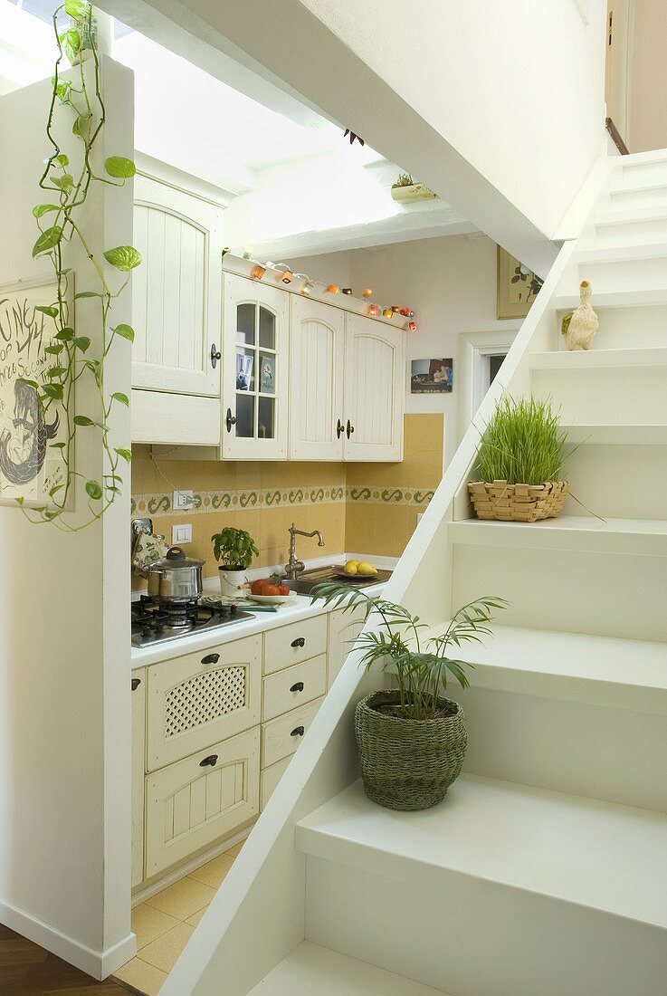House plants on a white staircase in front of a country style kitchen with open floor plan