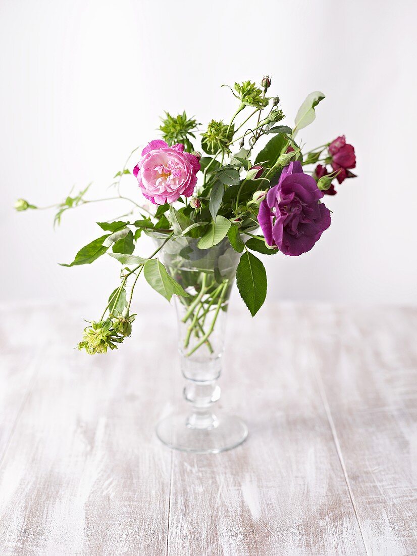 Roses in glass vase