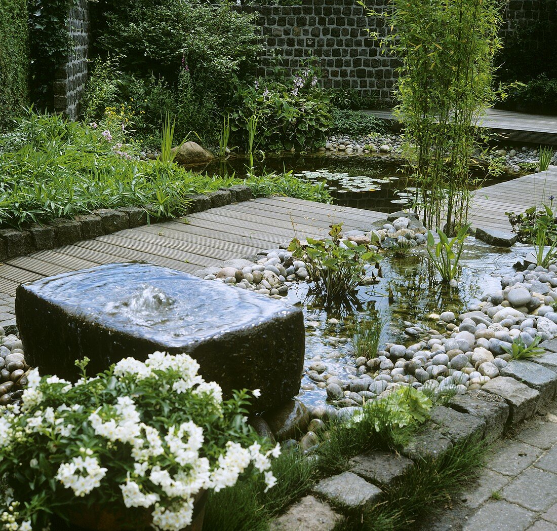Garden with fountain and pond