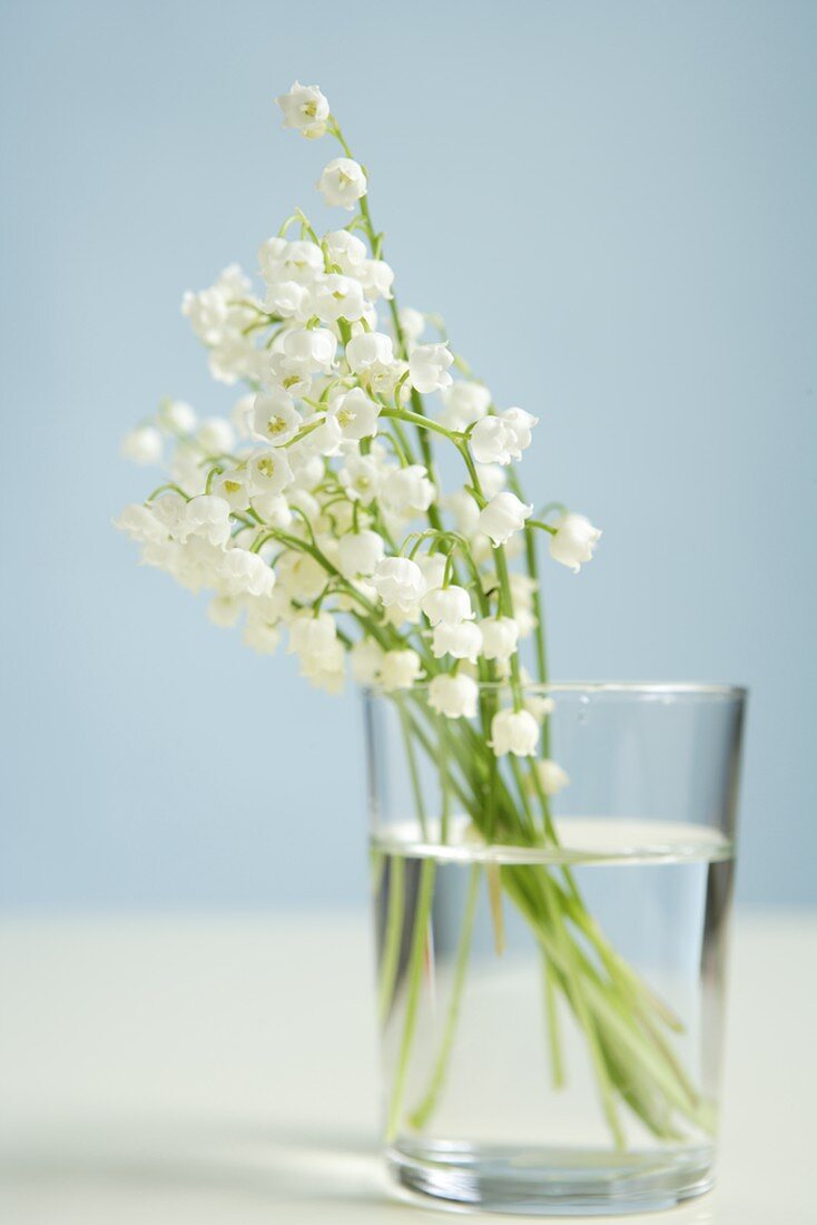 Lilies of the valley in a glass