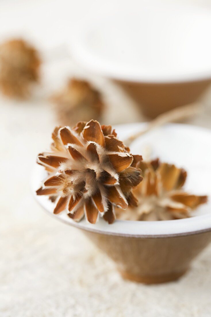 Table decoration: cones