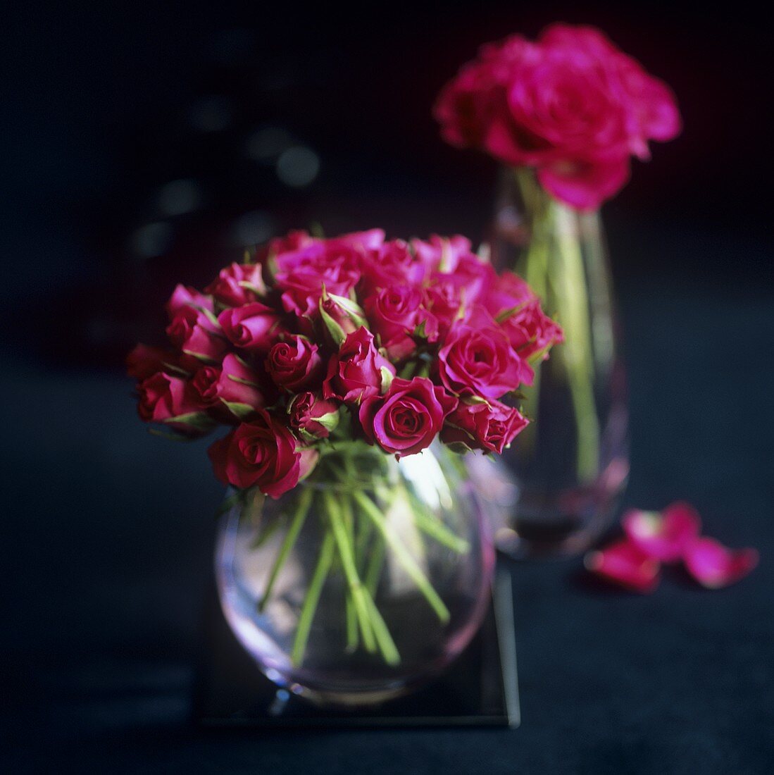Rote Rosen in zwei Vasen
