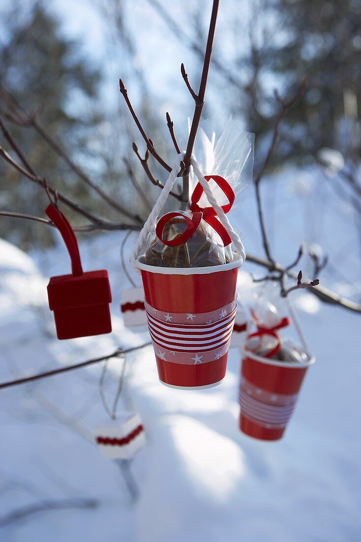 Red plastic cups containing pecan sweets hanging on branch