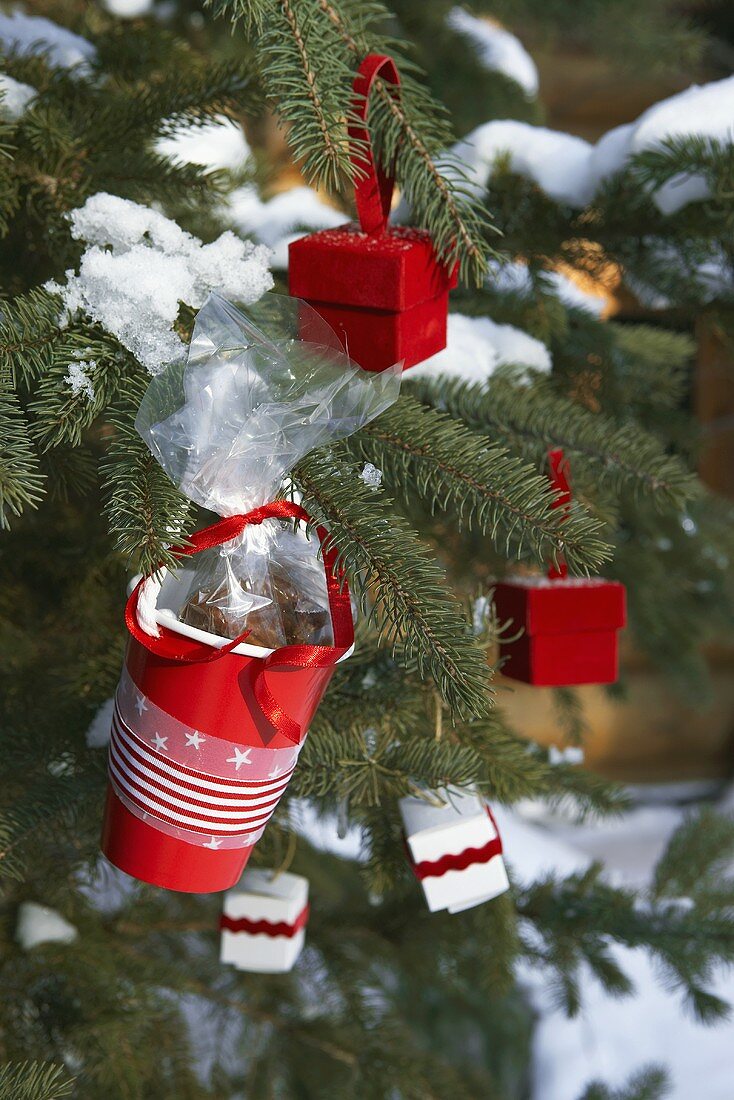 Red plastic cup containing pecan sweets on Christmas tree