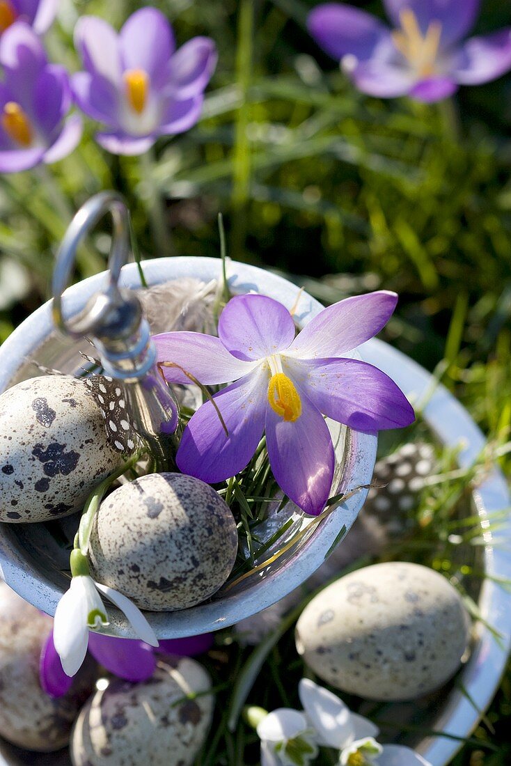 Wild crocuses, snowdrops and quails' eggs on tiered stand