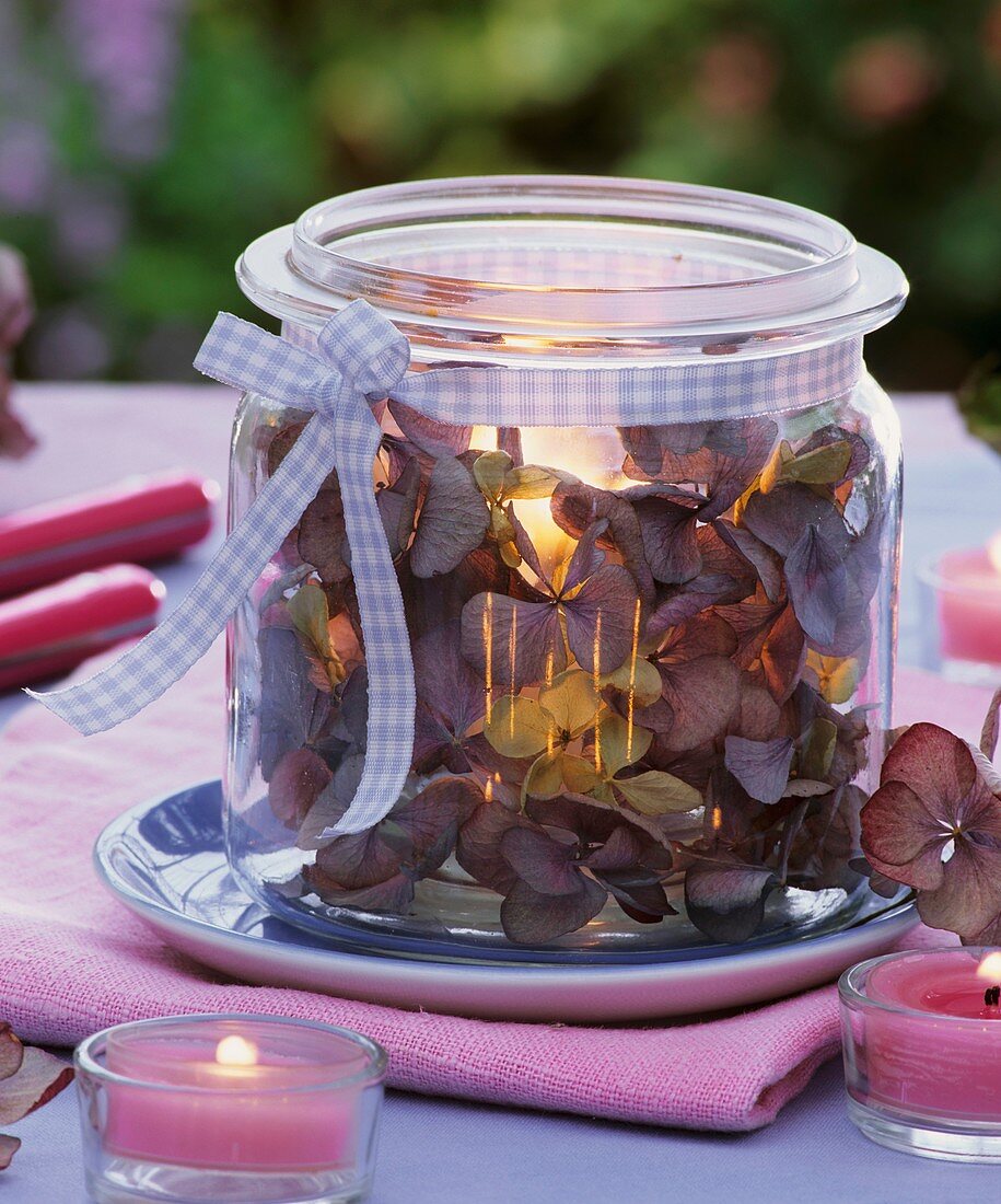 Einmachglas mit verblühten Hortensien und Windlicht