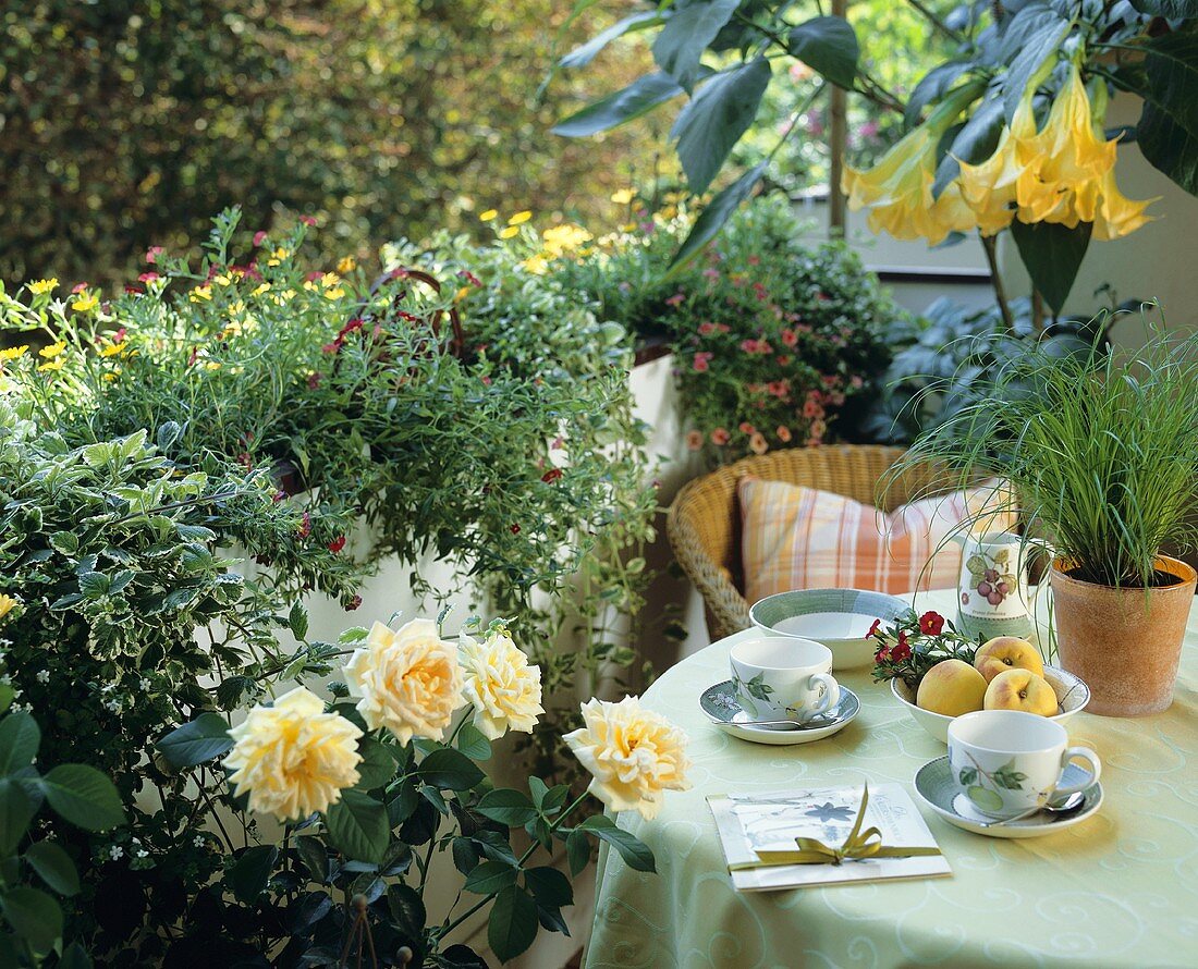 Balcony table with two cups and saucers and peaches