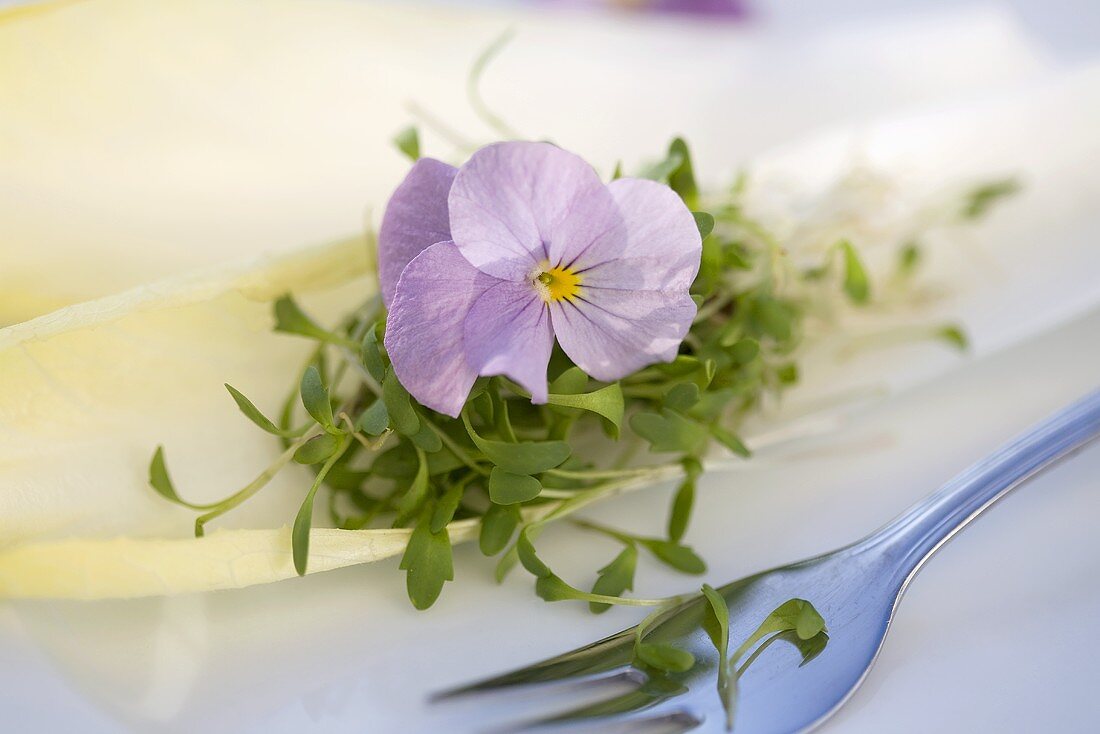 Horned violet with cress on chicory leaf