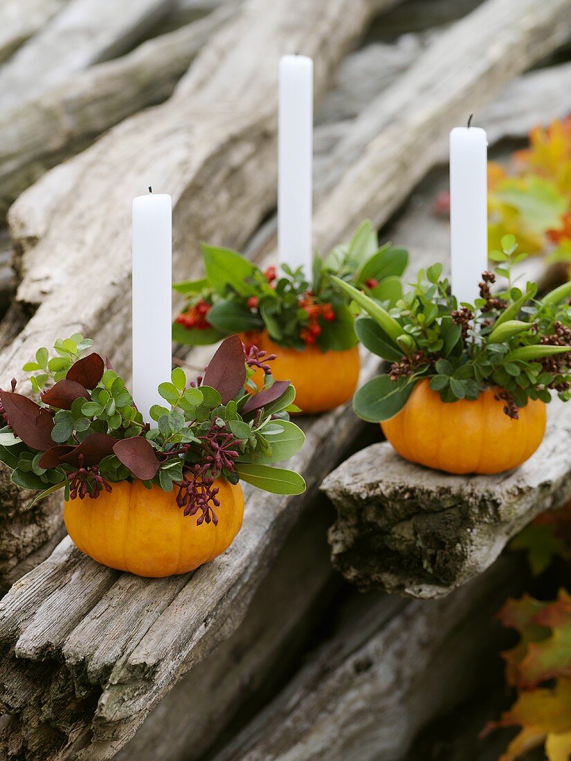 Small orange pumpkins used as candle holders