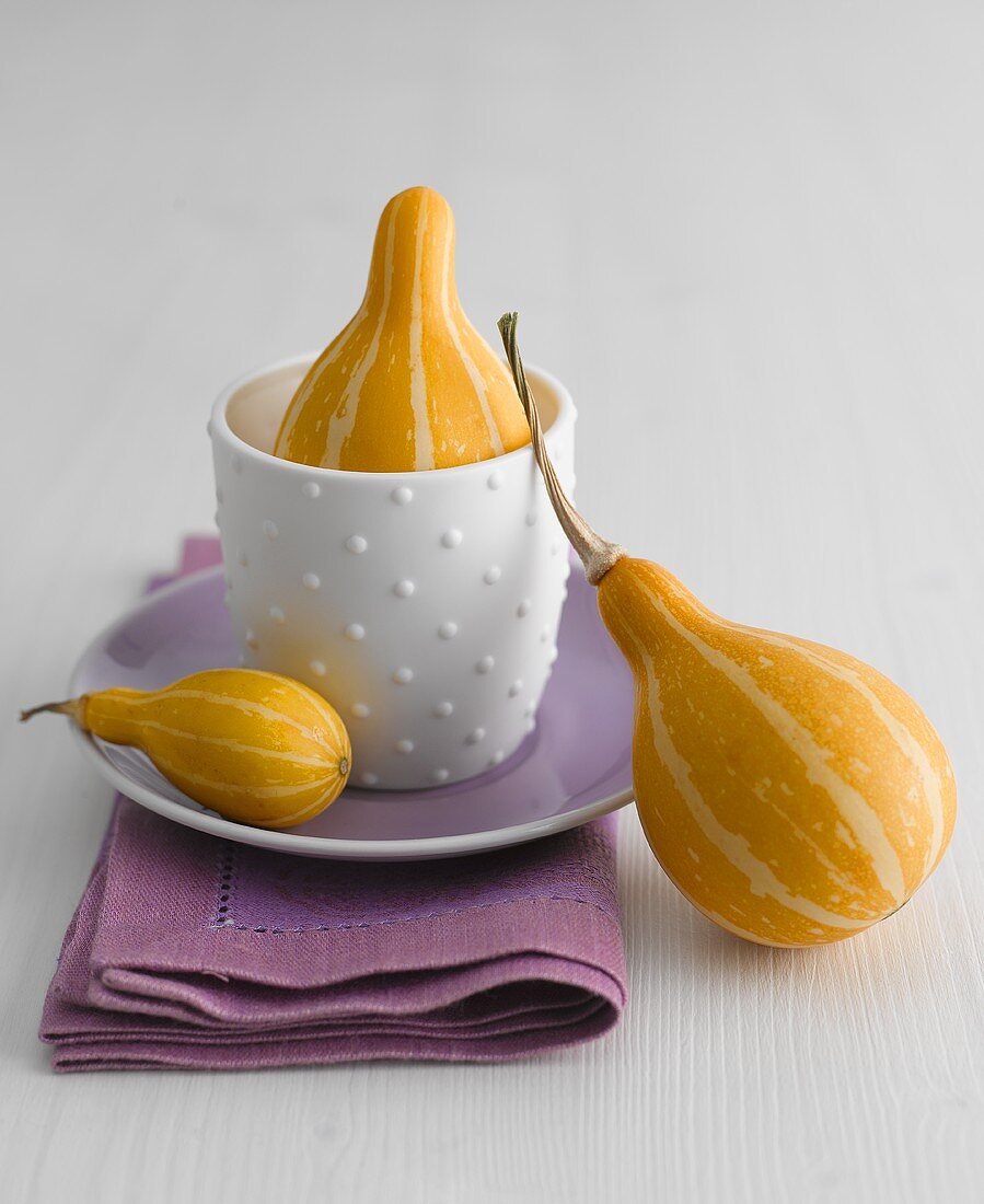 Cup and saucer with yellow ornamental gourds