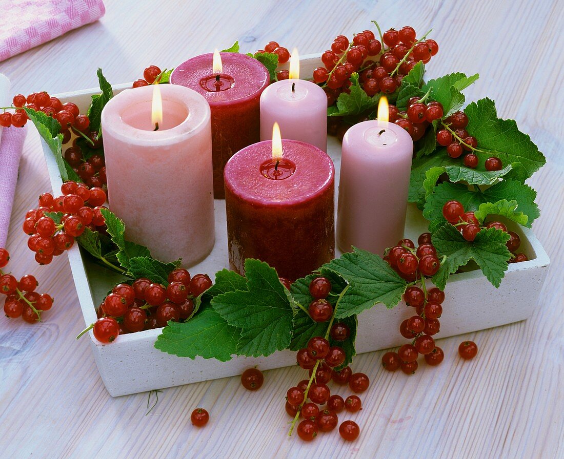 Candles with redcurrants (table decoration)