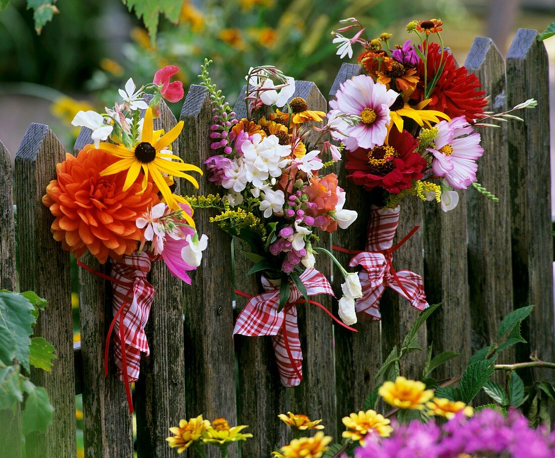 Posies of summer flowers on a fence
