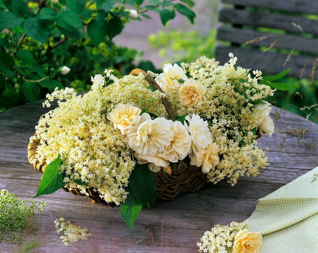 Basket of elderflowers and roses