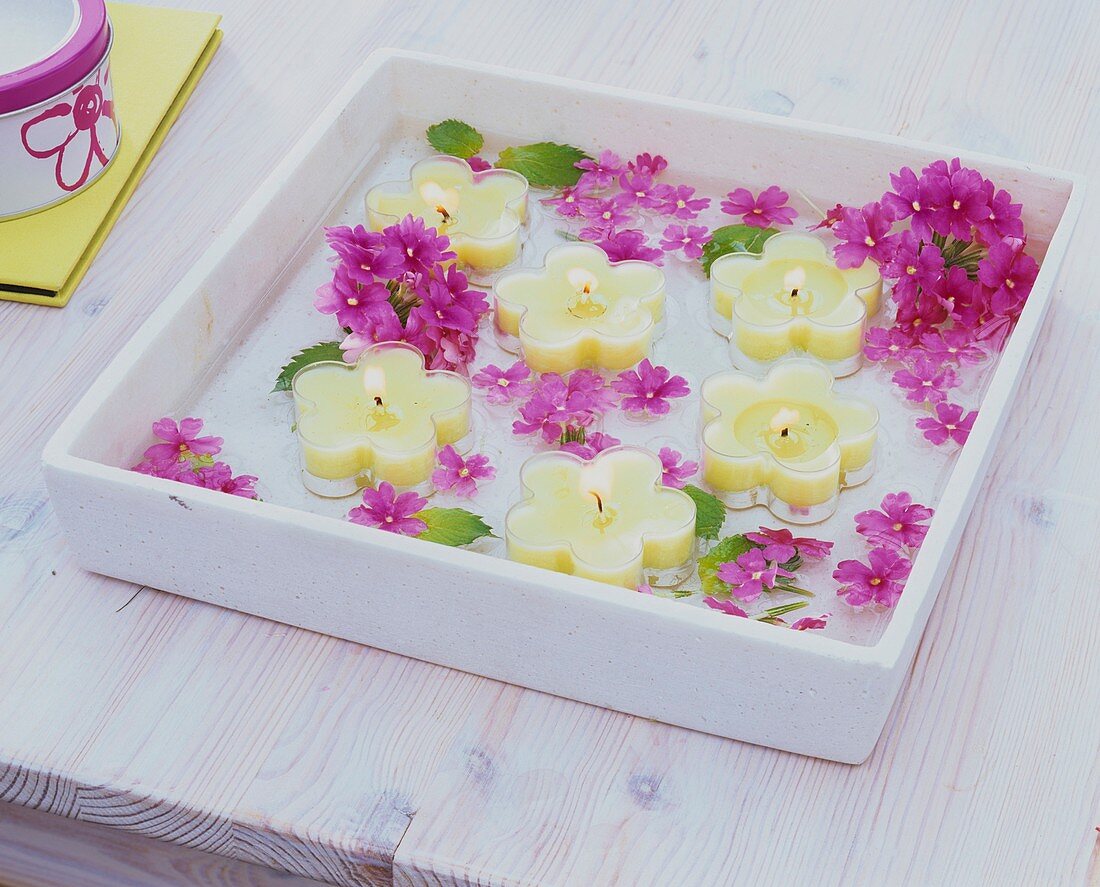 Primula flowers and floating candles in a square dish