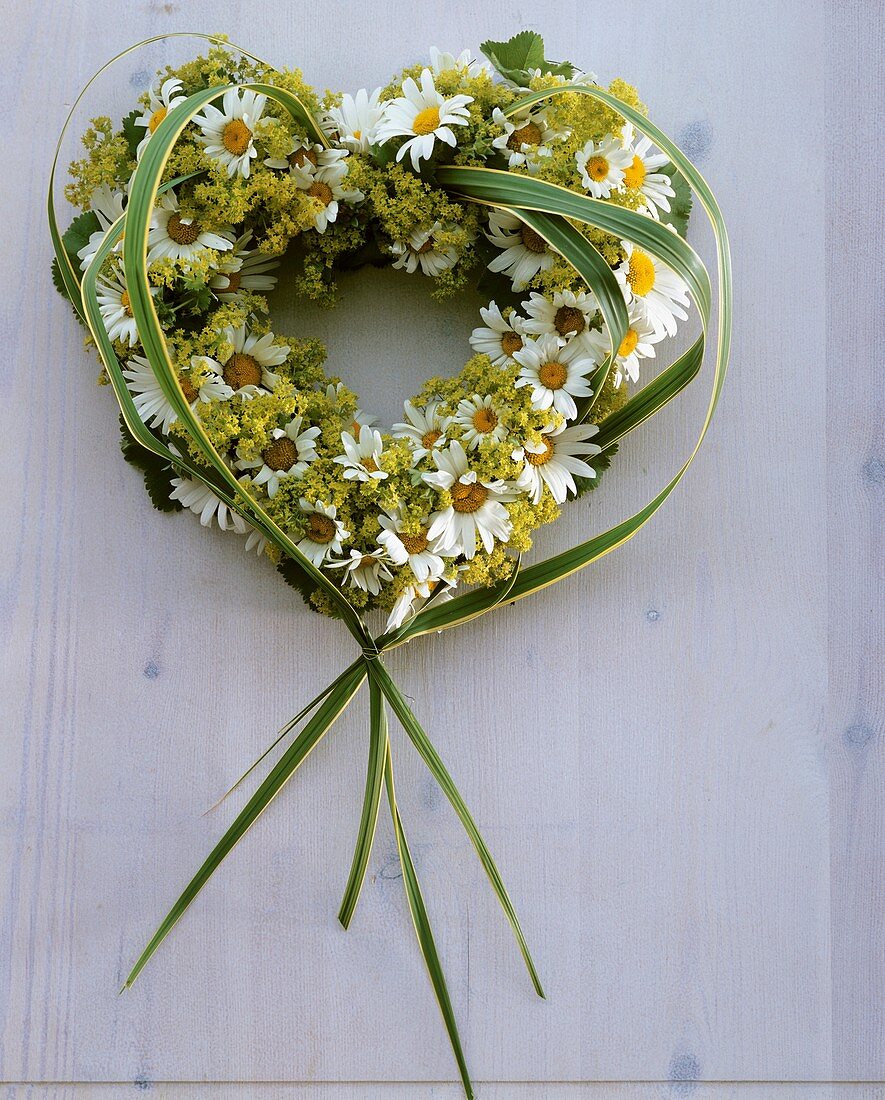 Heart-shaped wreath of oxeye daisies and lady's mantle