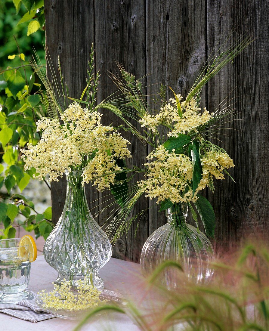 Elderflowers and grasses in glass vases