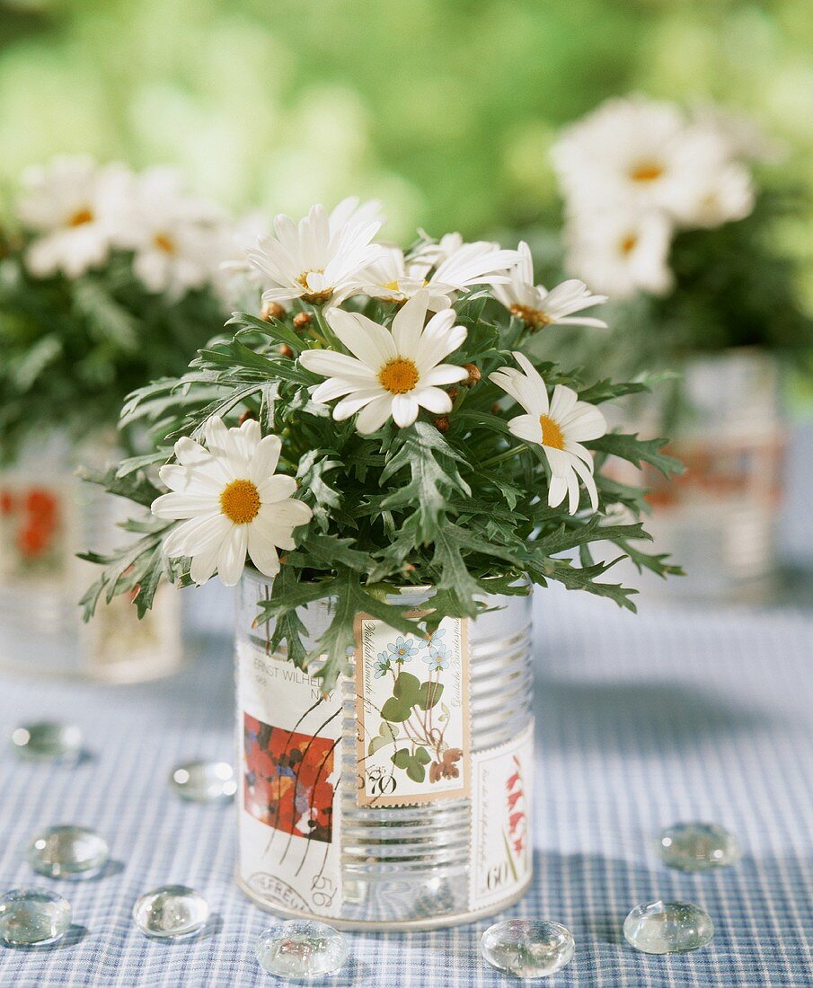 Daisies in a tin can with glass beans