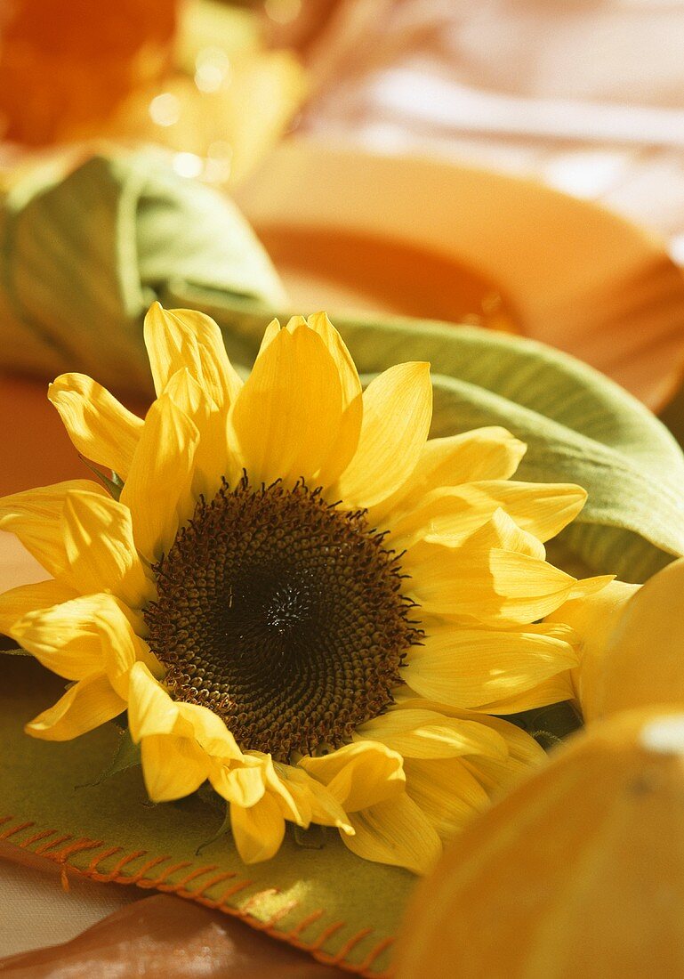 A sunflower as a table decoration